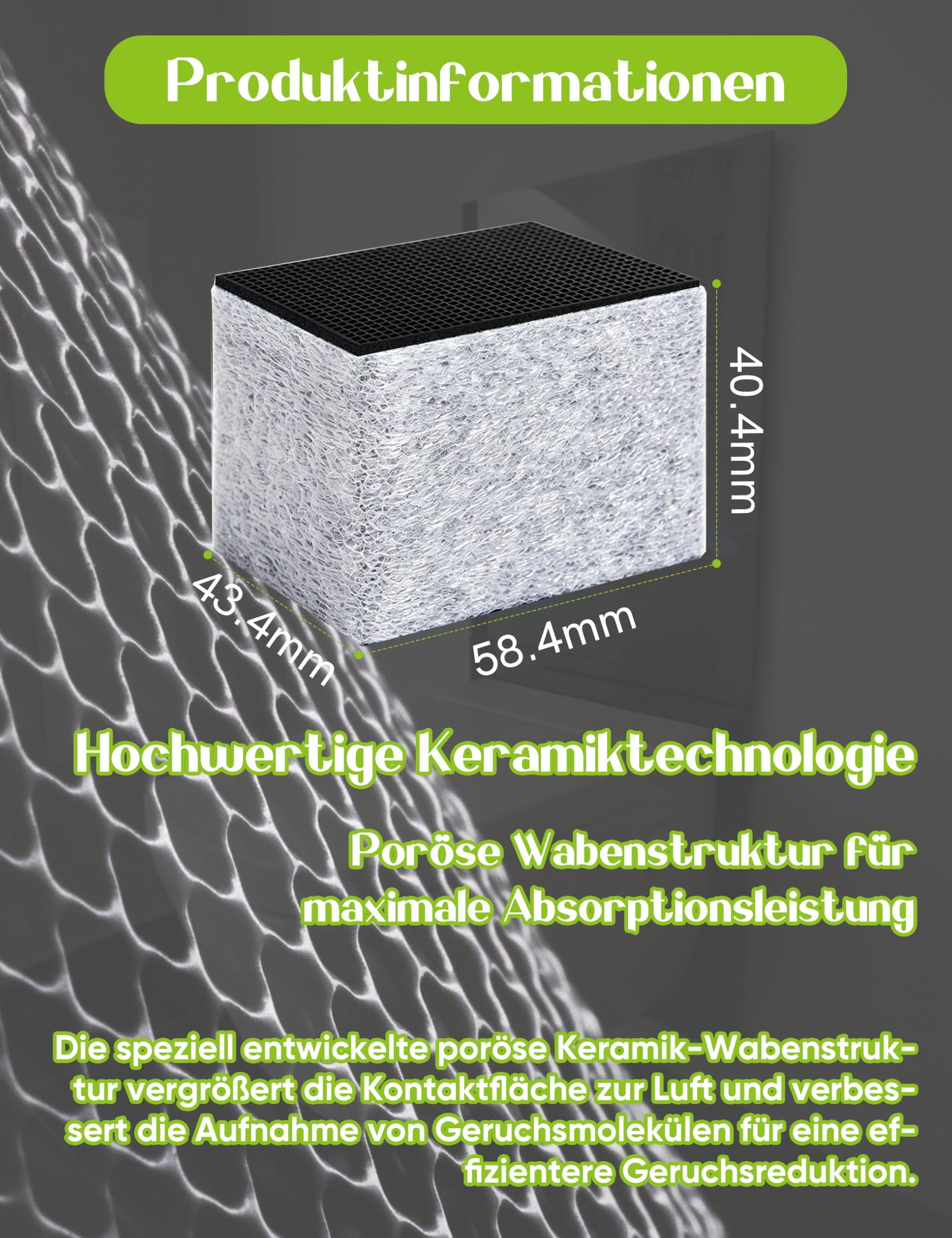 [ersetzt 242.999.00.1] Keramikfilter Typ 3 für Geberit AquaClean | Kompatibel mit AquaClean Mera, Tuma & Sela | Keramikwabenfilter für Dusch-WC Geruchsabsaugung (1 Stück)
