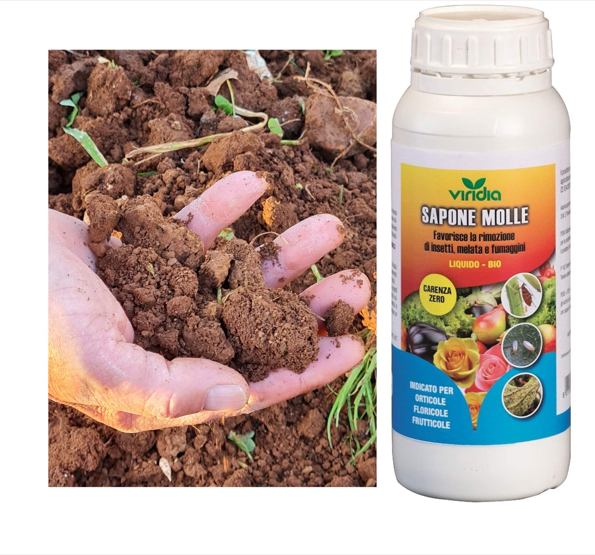 Sapone Molle Di Potassio Concentrato 1L Per Piante - Insetticida Naturale Anti Melata E Fumaggine, Biologico, Per Orto E Frutta - 6