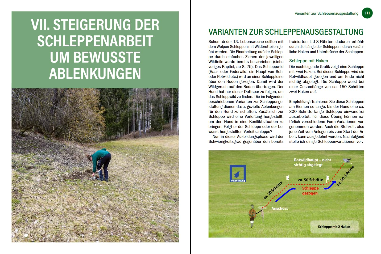 Jagdhunde ausbilden: Vom Grundgehorsam bis zum Training für die Nachsuche