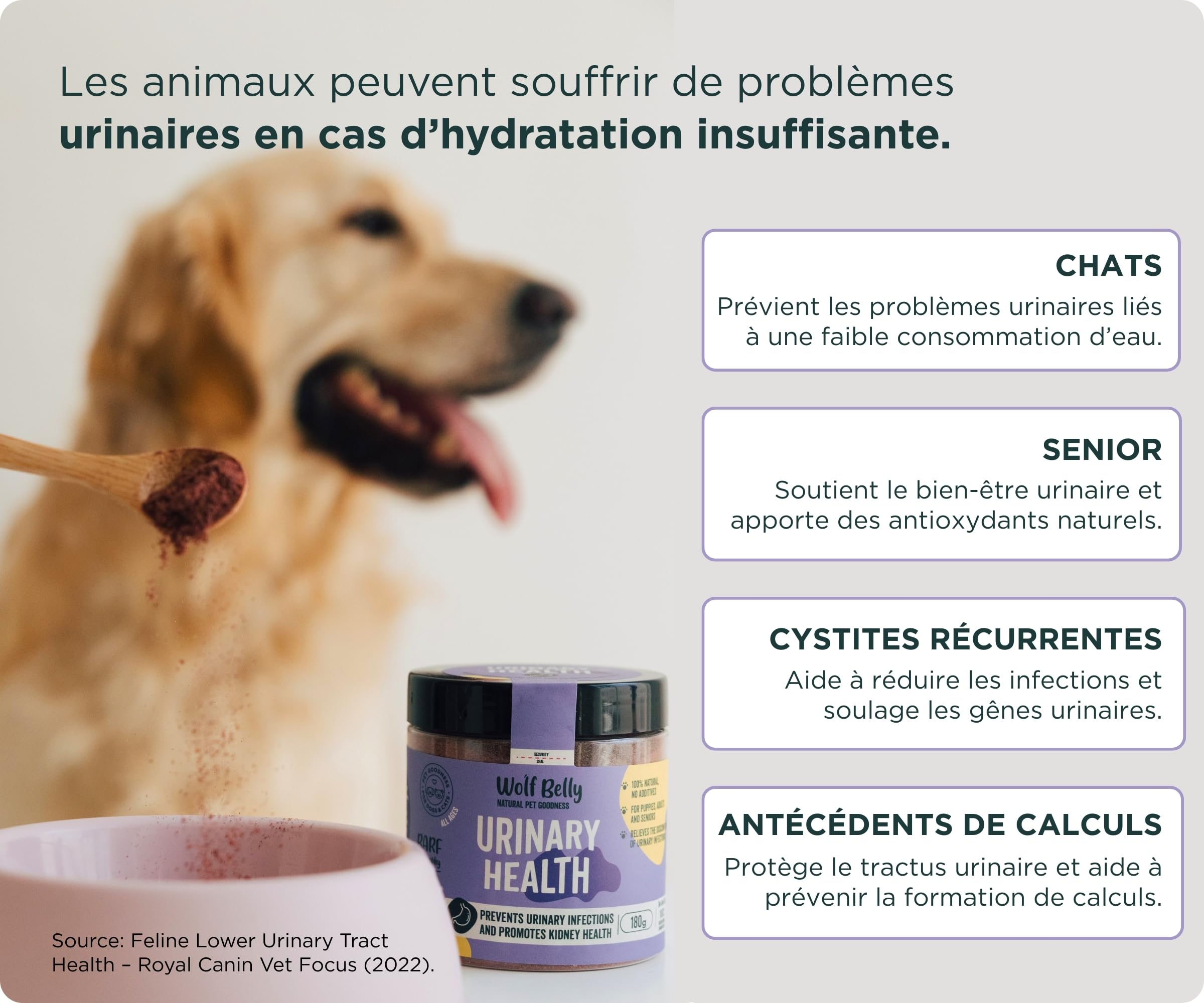 Wolf Belly - Traitement Infection Urinaire Chat et Chien 100% Naturel (180 g) Cystite Chat Médicament | Canneberge Poudre Riche en Vitamine C | Santé Reins pour Seniors et Chats - Fabriqué en Europe