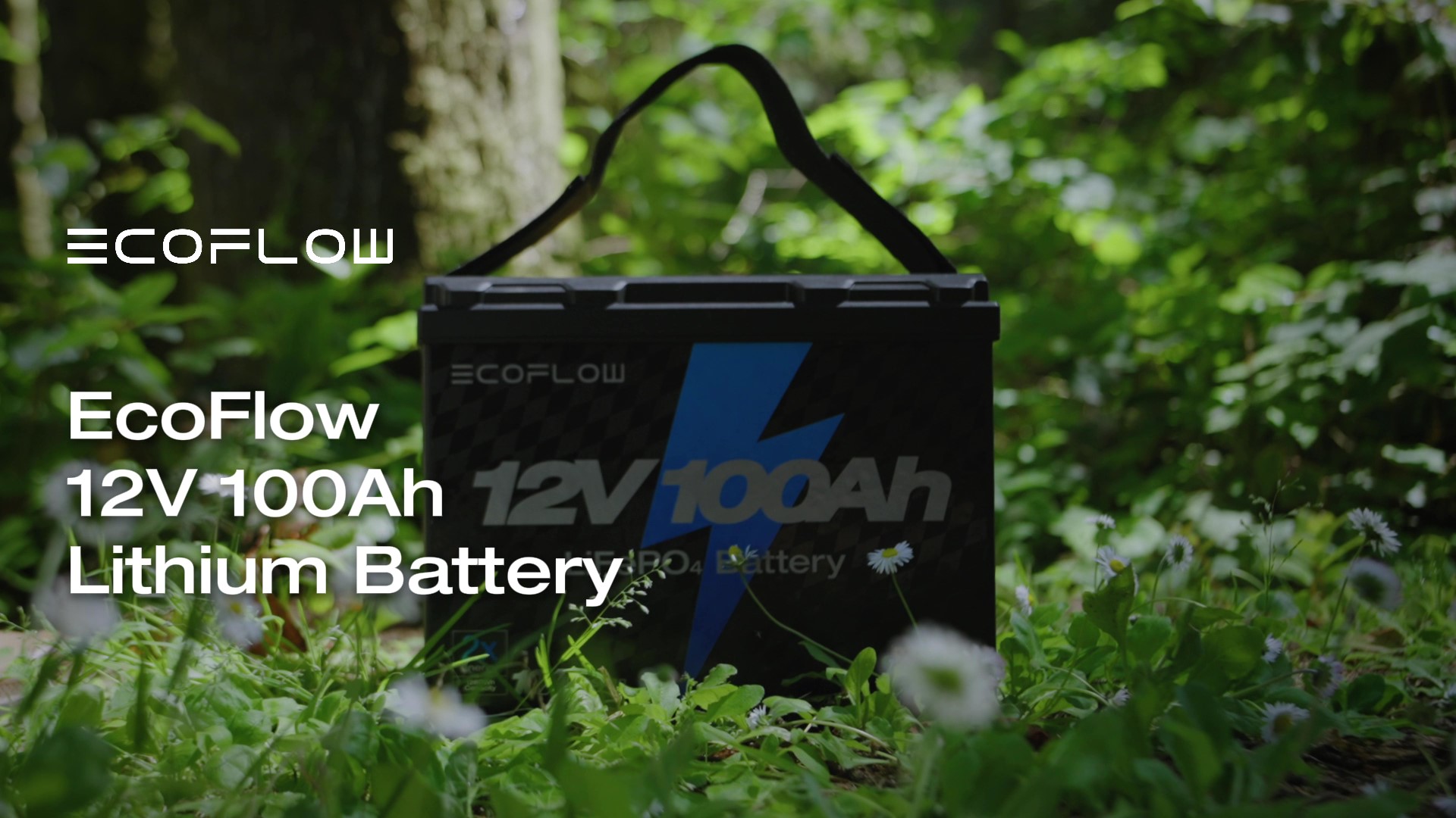ecoflow delta 2 weight Delta 2 Max Portable Power Station