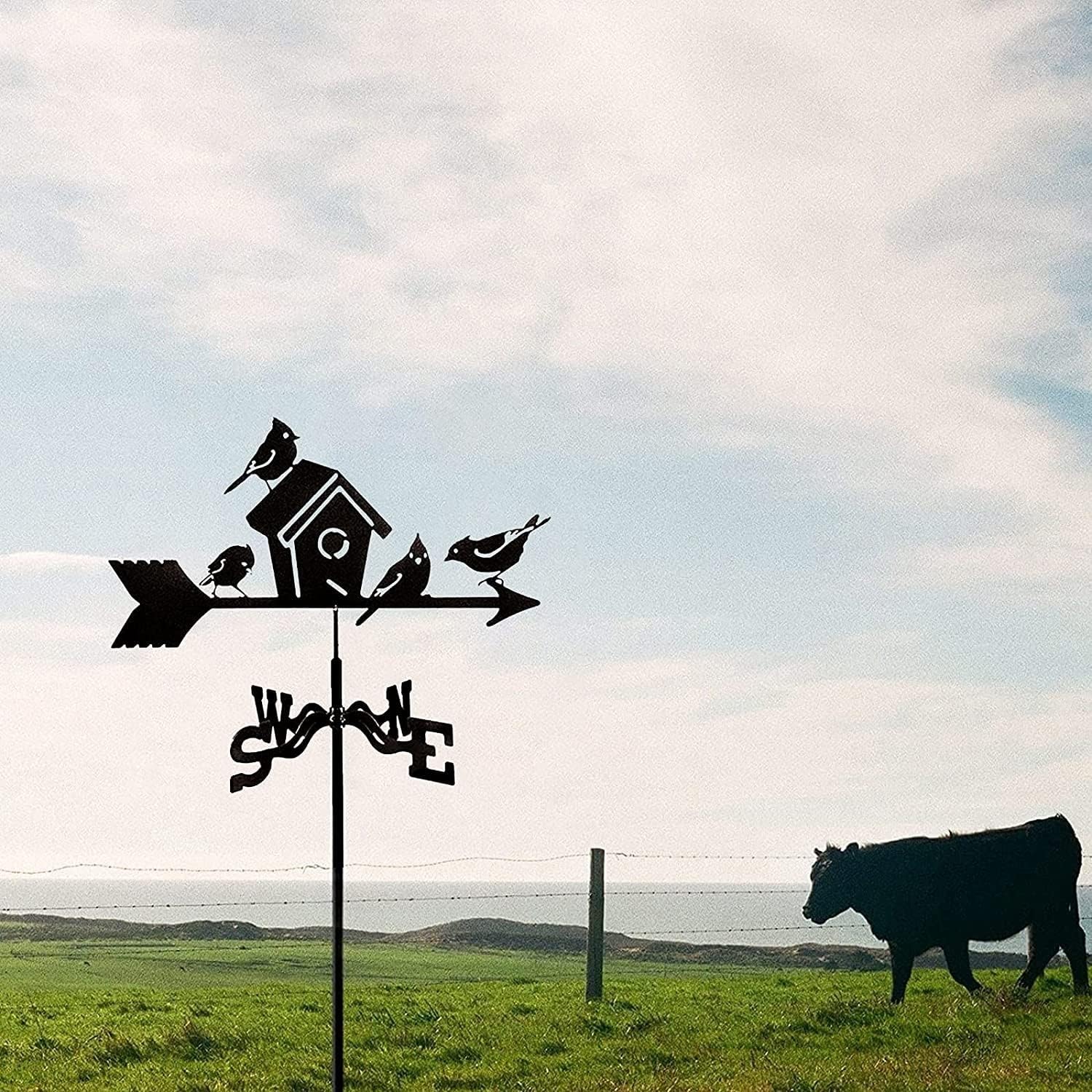 Weather Vane Ornament,Cast Iron Weathervane Weathervane with Mounted Roof, Weathervane Wind Blown Flying Roof Garden Metal Decorations