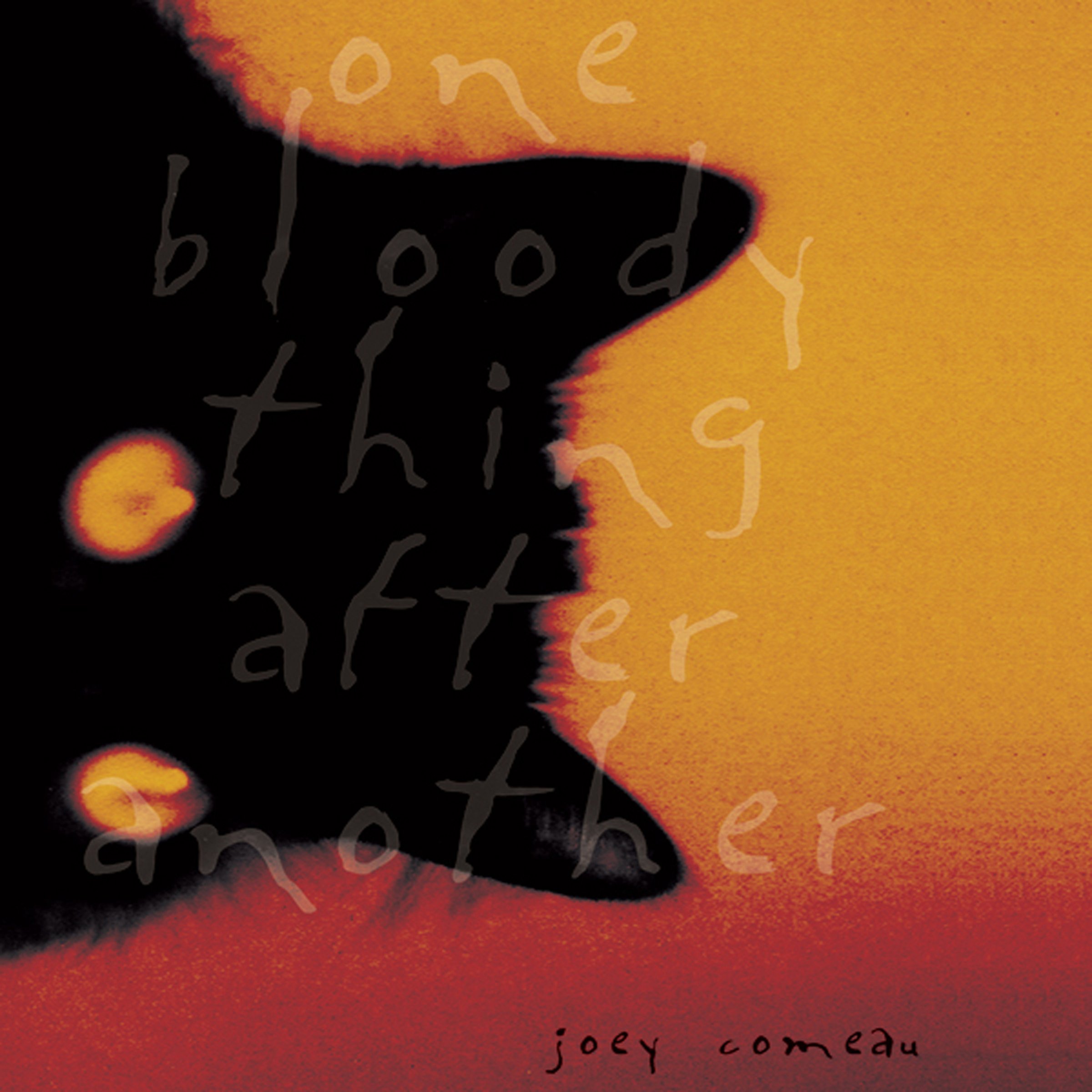 Cover art for One Bloody Thing after Another