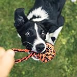 Large Tough Chew Toys for Aggressive Chewers Large Breed,Heavy Duty Dental Rope Toys Kit for Medium Dogs,5 Knots Indestructible Cotton Puppy Teething Chew Tug Toy Set of 9