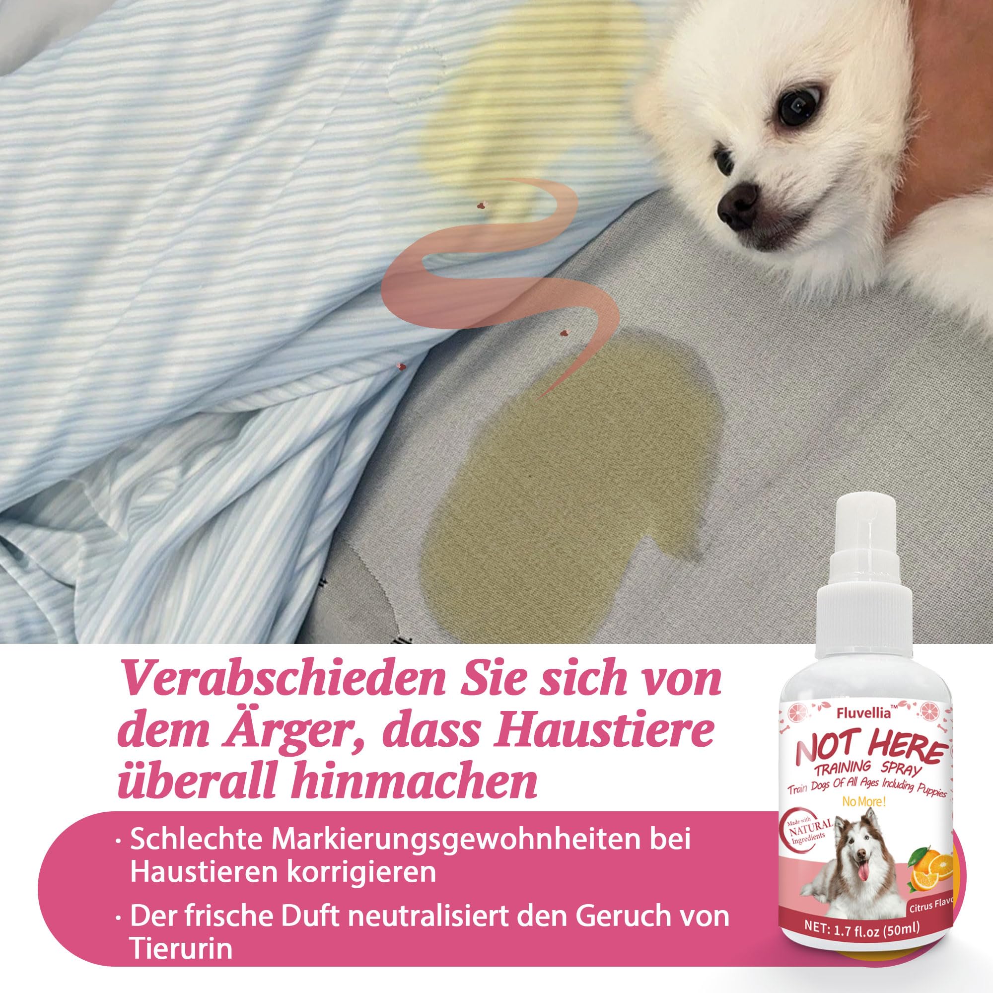 Lot de 2 sprays d'entraînement pour chien Not Here et Here Potty - Ingrédients naturels - 2 flacons pulvérisateurs de 50 ml - Pour chiots et chiens adultes - Arôme d'agrumes et de menthe
