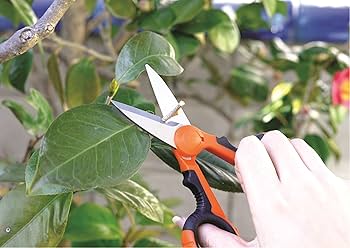 Amazon.co.jp: イチネンアクセス three axis(スリーアキシス) ハサミ Amazon.co.jp: イチネンアクセス three axis(スリーアキシス) ハサミ