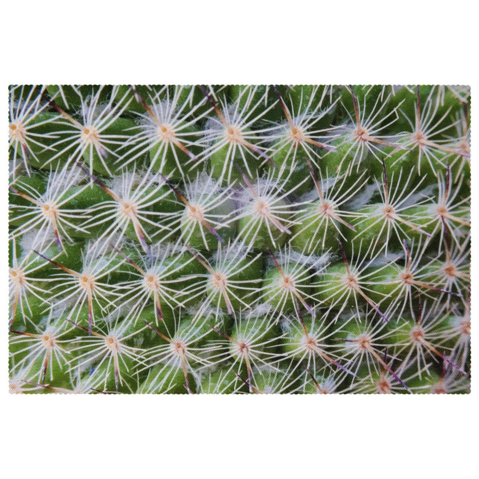 Lot de 6 sets de table cactus 30x46 cm antidérapants pour la salle à manger