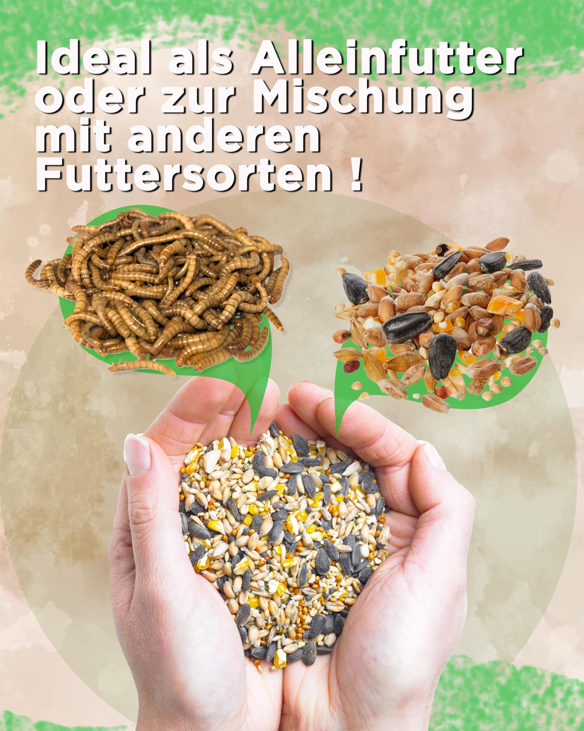 Futterbauer 25 kg Schwarze Sonnenblumenkerne im Papiersack für Vögel, 100% Natur, Hochwertige Energiequelle für Wildvögel, Hoher Fett- & Vitamin-E-Gehalt, Gereinigt & Getrocknet mit Schale, Ernte 2025