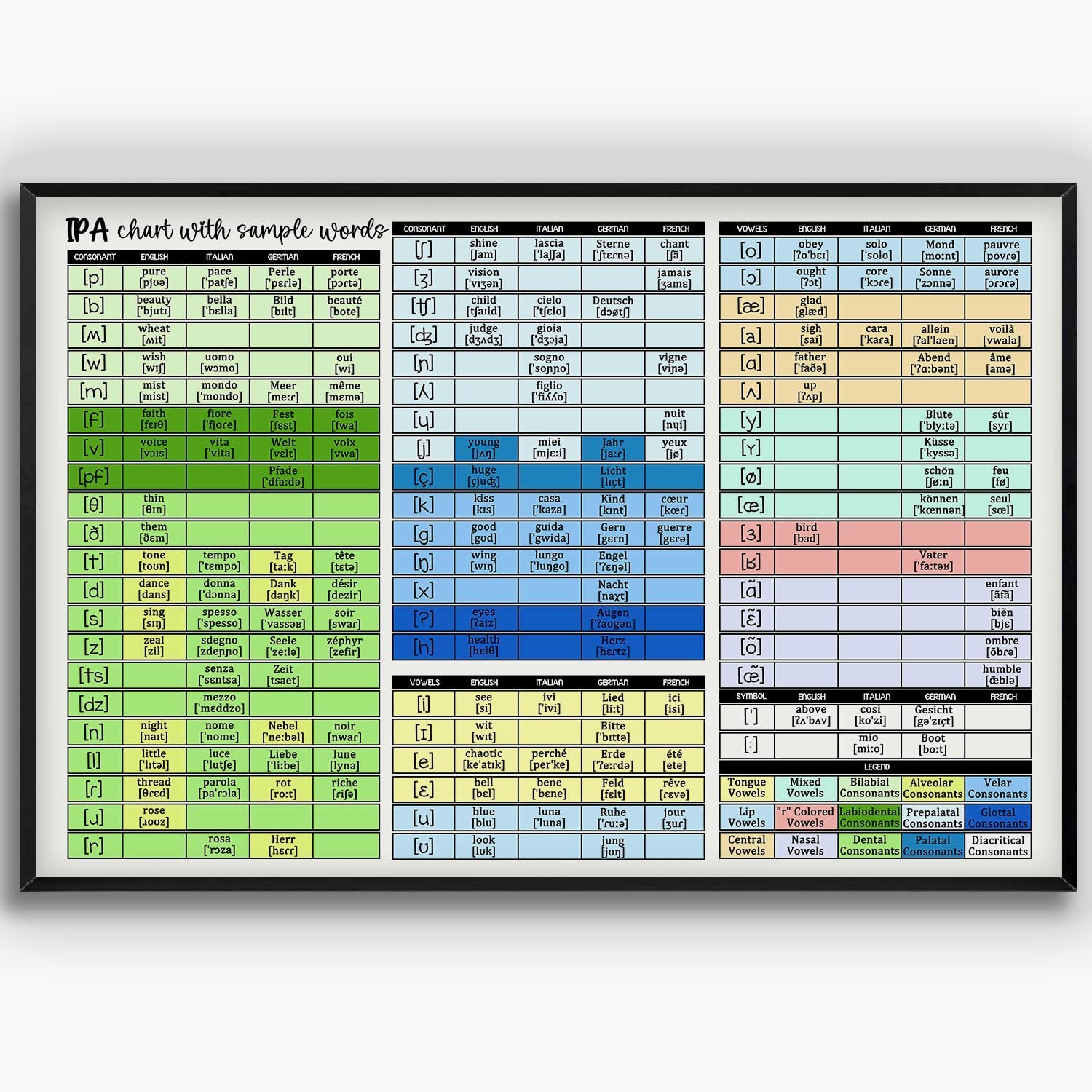 rayprint Ipa Knowledge Metal Tin Signs Ipa Chart With Sample Wotds Aluminum Posters Language Education Plaques Home Bedroom Classroom Wall Decor 8x12 Inches