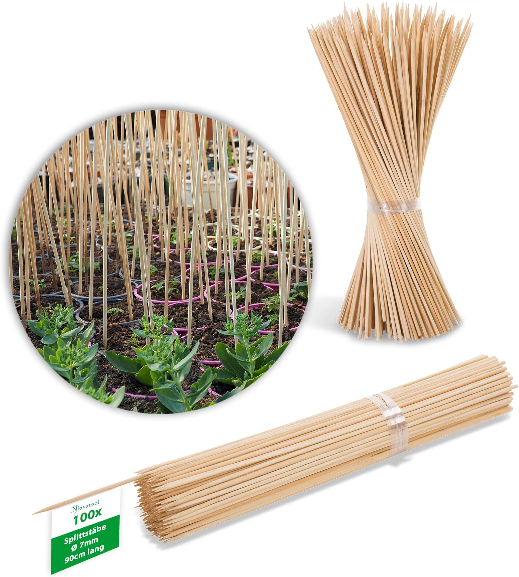 3 Bambusstäbe 100 Cm Mit Pyramidenring - Grow Depot