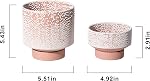 UBEE Planter Ceramic Flower Pot for Indoor Plants | 5.5 inch + 4.9 inch Plant Pot with Saucer and Drainage Hole for Aloe, Snake Plants, Pothos, Orchid, Terracotta with White Glaze Dot