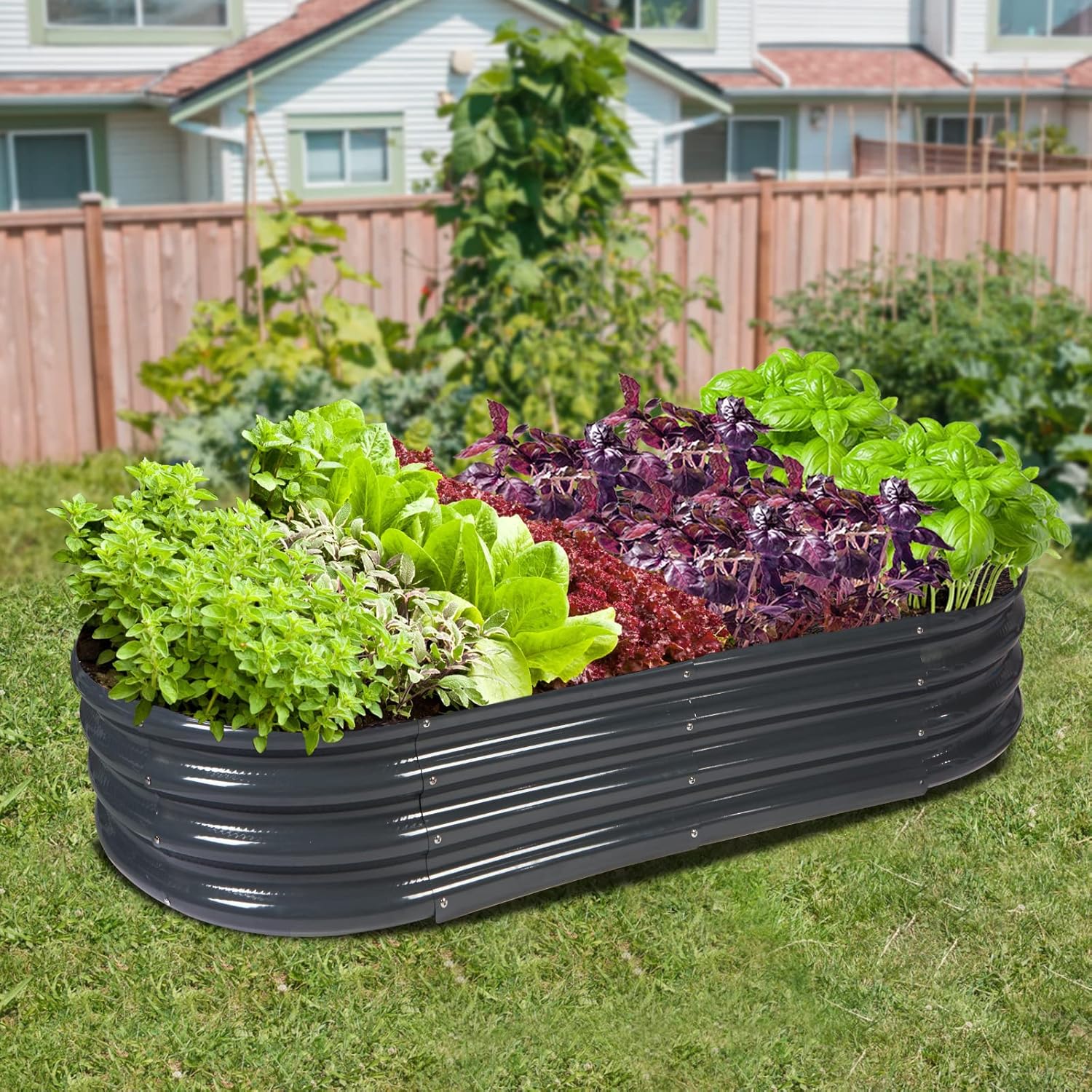 Raised garden bed filled with various plants in an outdoor setting