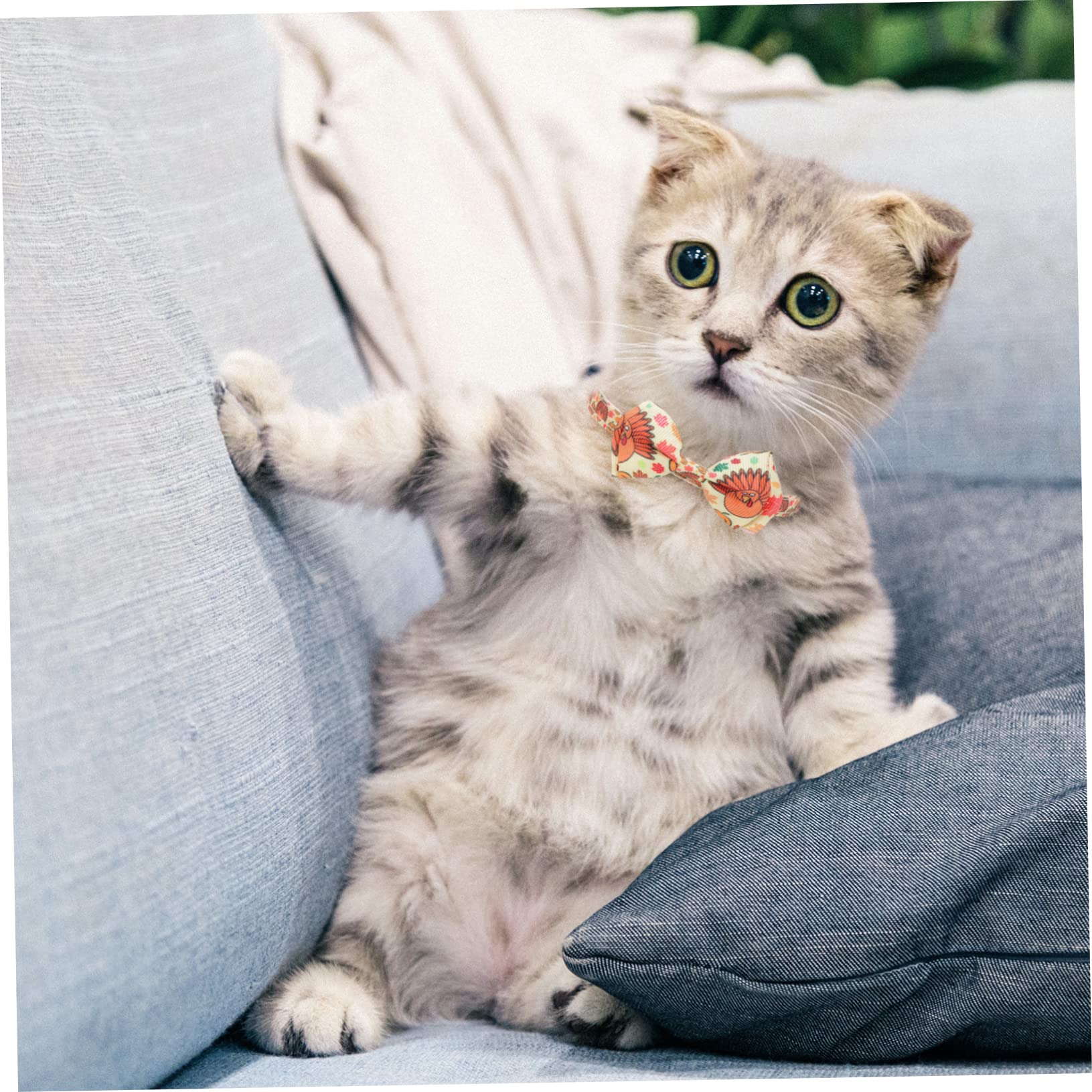 Didiseaon 10pezzi Collare Decorativo Per Animali Domestici Con Fiocco Per Cani e Gatti Per Festività e Compleanni Collana Chic Per Cani e Gatti Accessori Per Animali Domestici