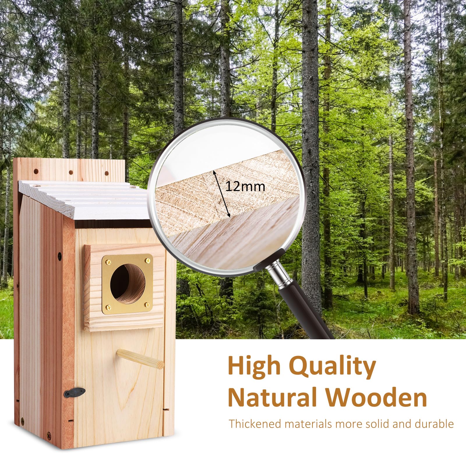 Casas para pájaros para exteriores, paquete de 2 con protector de cobre, espesar madera Bluebird House Liquidación Jardín casas de campo, caja anidadora para pinzones, golondrina, Wren, Chickadee Wild 6
