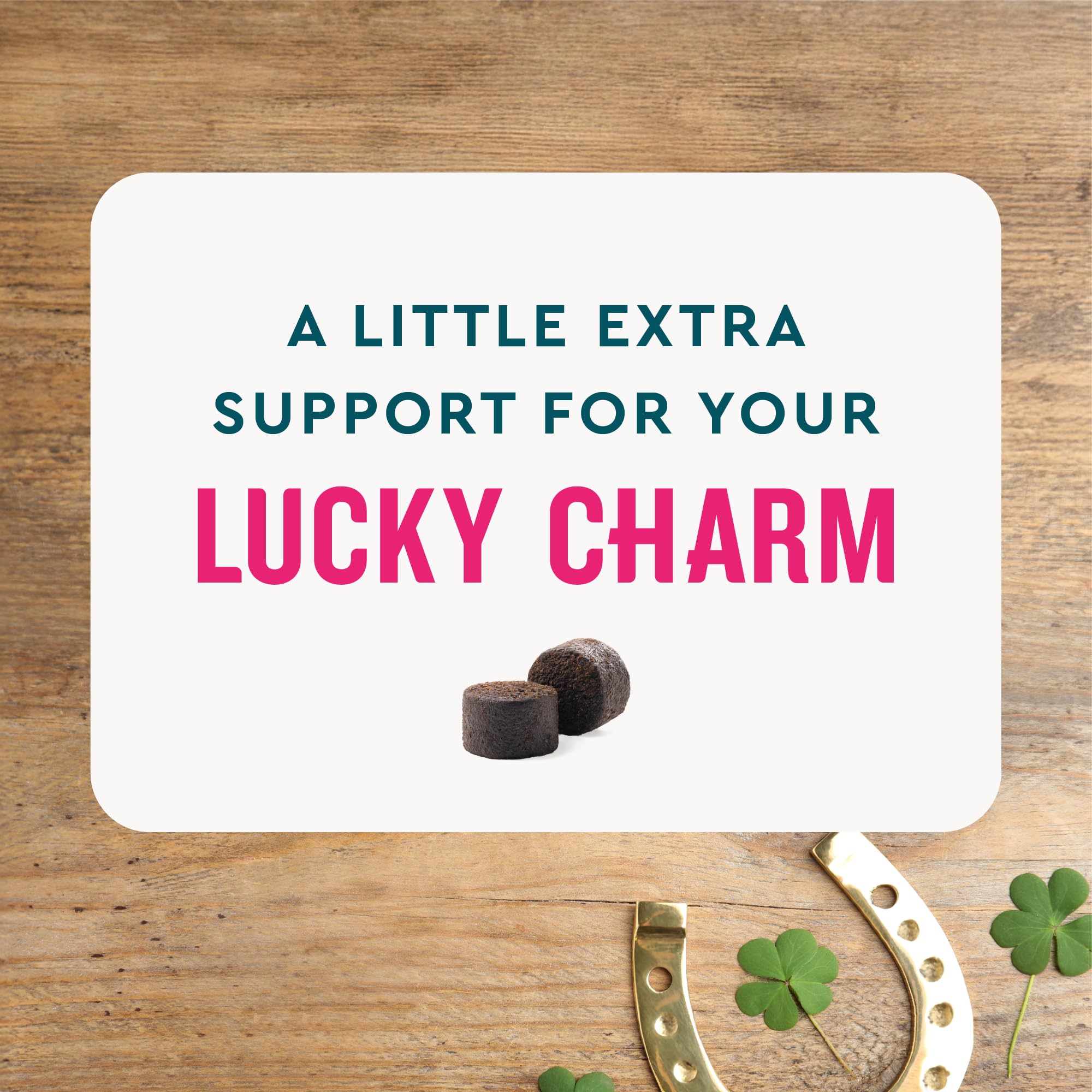 VetIQ Multivitamin Supplement for Dogs, Supports Active Brain Function, Immune System, and Digestive System, Hickory Smoke Flavored Dog Multivitamin, Made in The USA, 60 Count - image 2