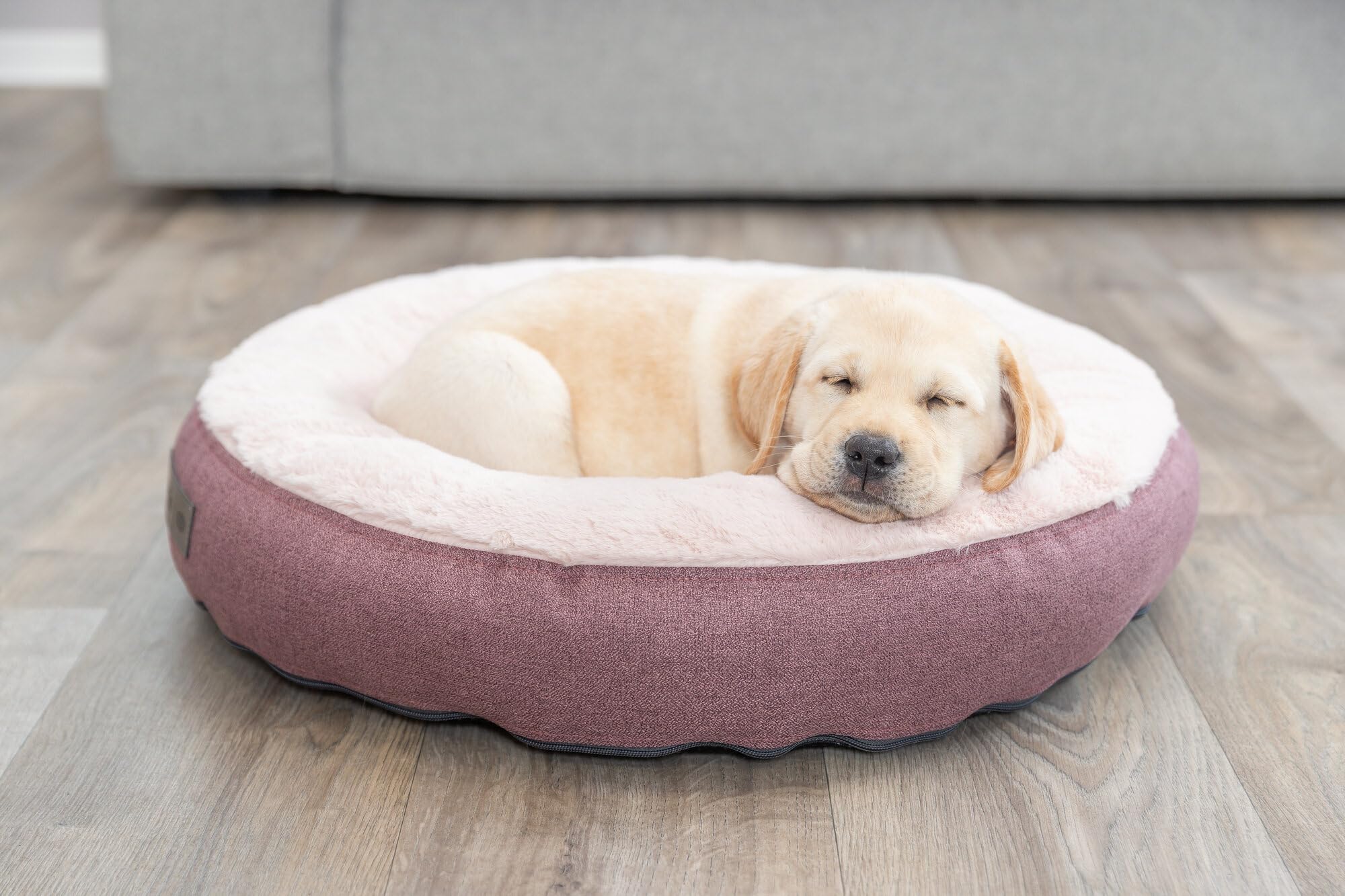 TRIXIE Hundebett Felicia rund ø 50 cm in Beere - ø 26 cm Liegefläche - weiches Hundekissen mit Silikon-Füllung - Hundekorb für kleine Hunde & Welpen - rutschfest - Bezug abnehmbar und waschbar - 37882