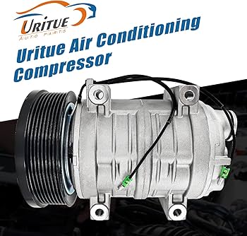 81SdKmX8AJL._AC_UF350,