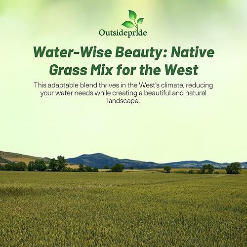 Miniatura 5 de Outsidepride Mezcla de semillas de pasto nativo occidental de pastos frescos y cálidos, 1 libra