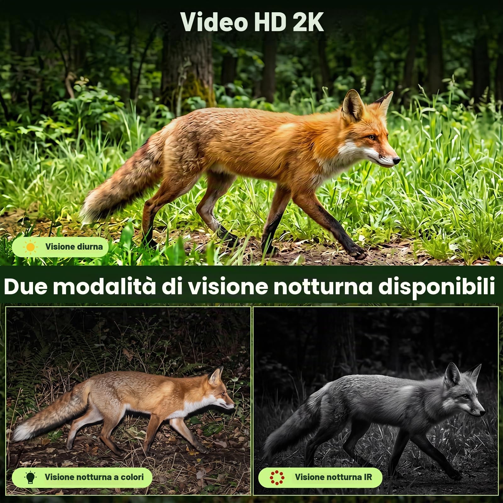 LEMNOI Fototrappola 4G Solare con Registrazione 24/7, 2K Visione Notturna