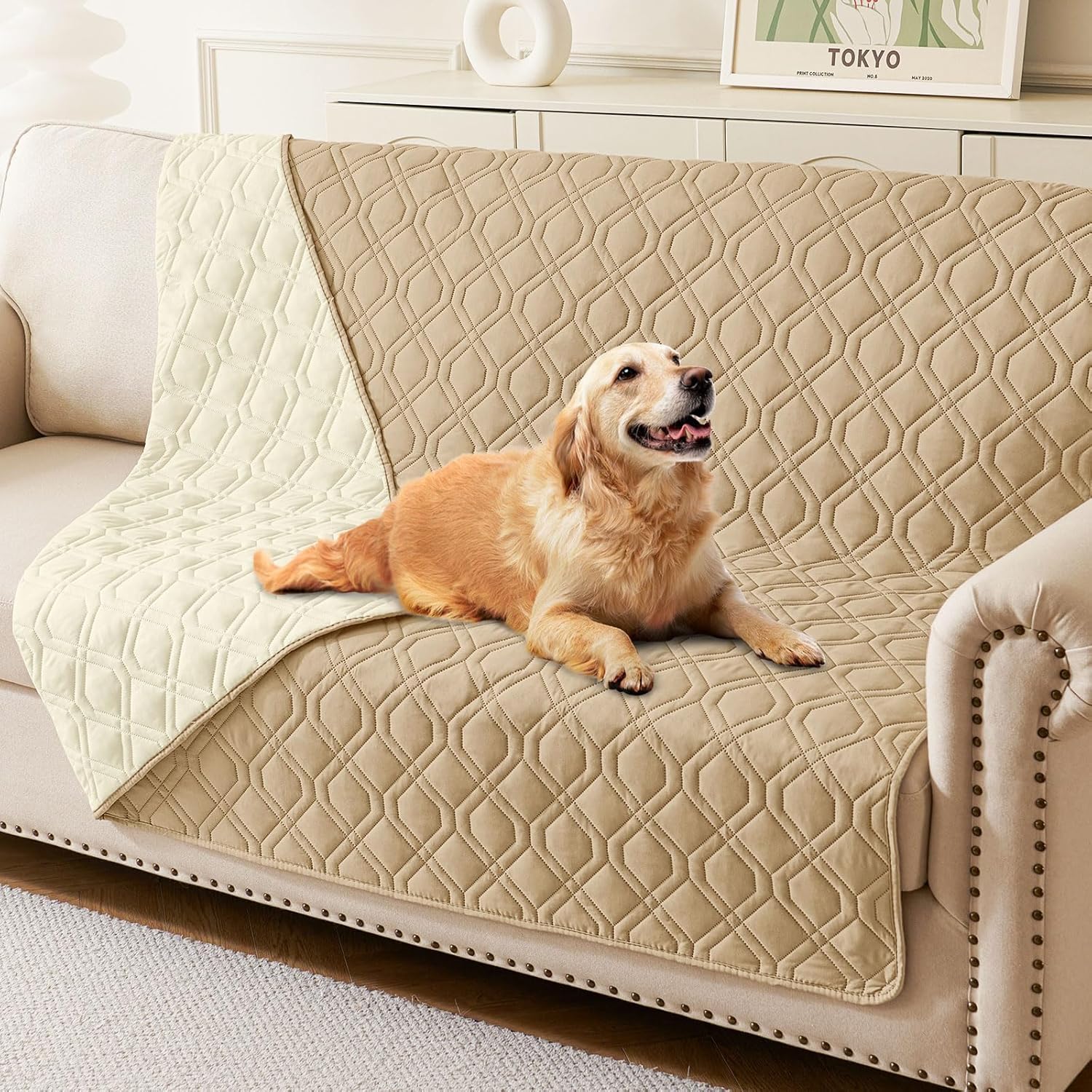 Homaxy Hondendeken, waterdicht, hondenmat, outdoor, wasbaar, omkeerbare deken, hondendeken, zachte kattendeken voor bank, bed, onderweg (203 x 208 cm, bruin chocolade