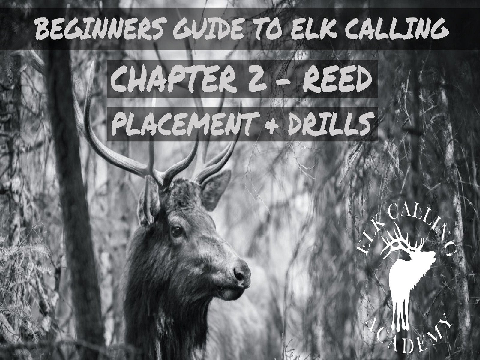 Watch Beginners Guide to Elk Calling Prime Video