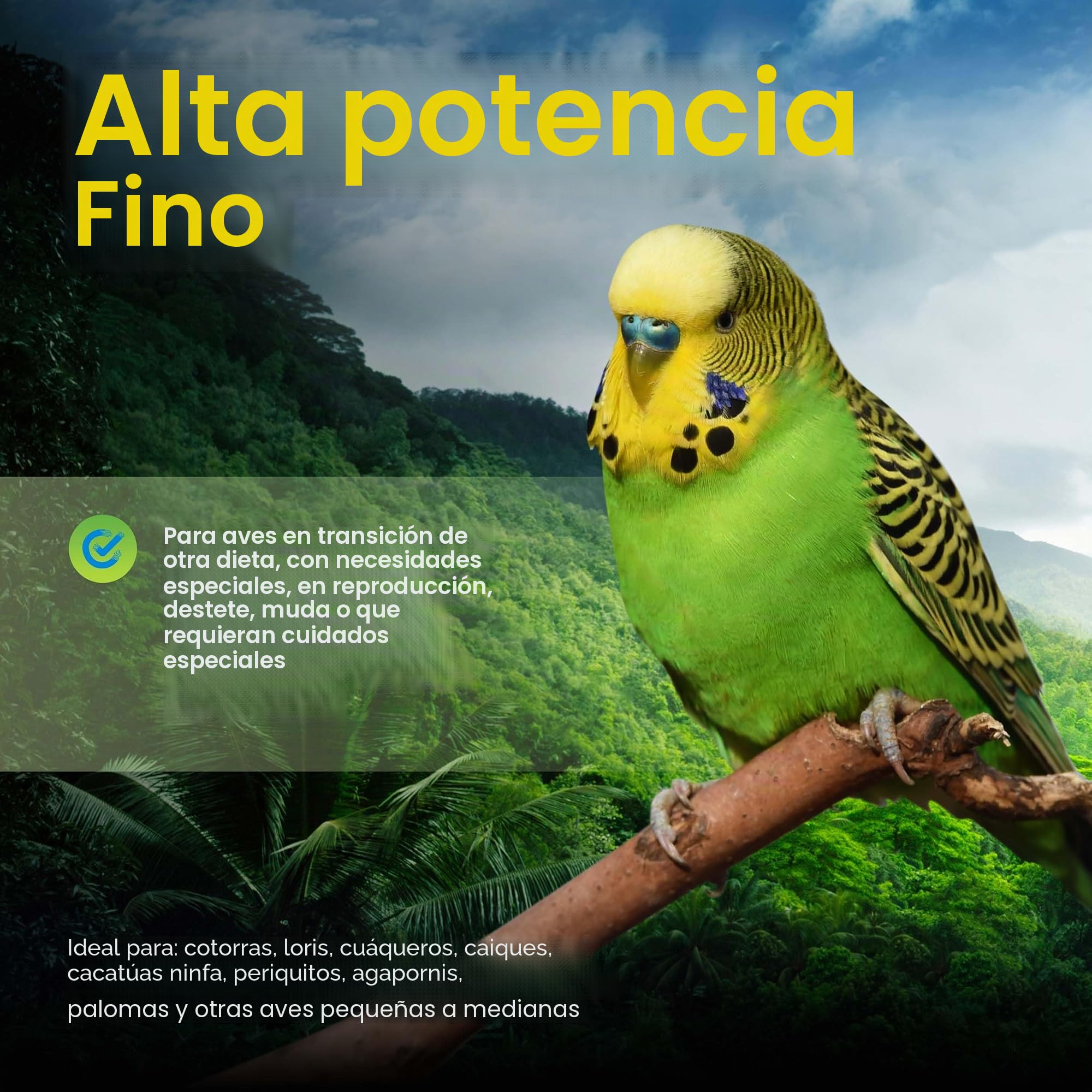Harrisons Alta Potencia Fina 5 Libras – Dieta Completa de Loros, Paquete de