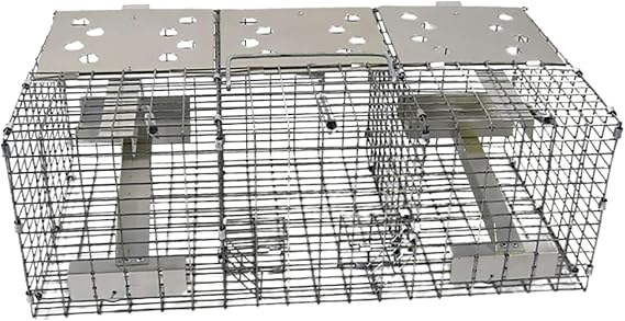 Troyer's Birds' Paradise Wire Sparrow Trap
