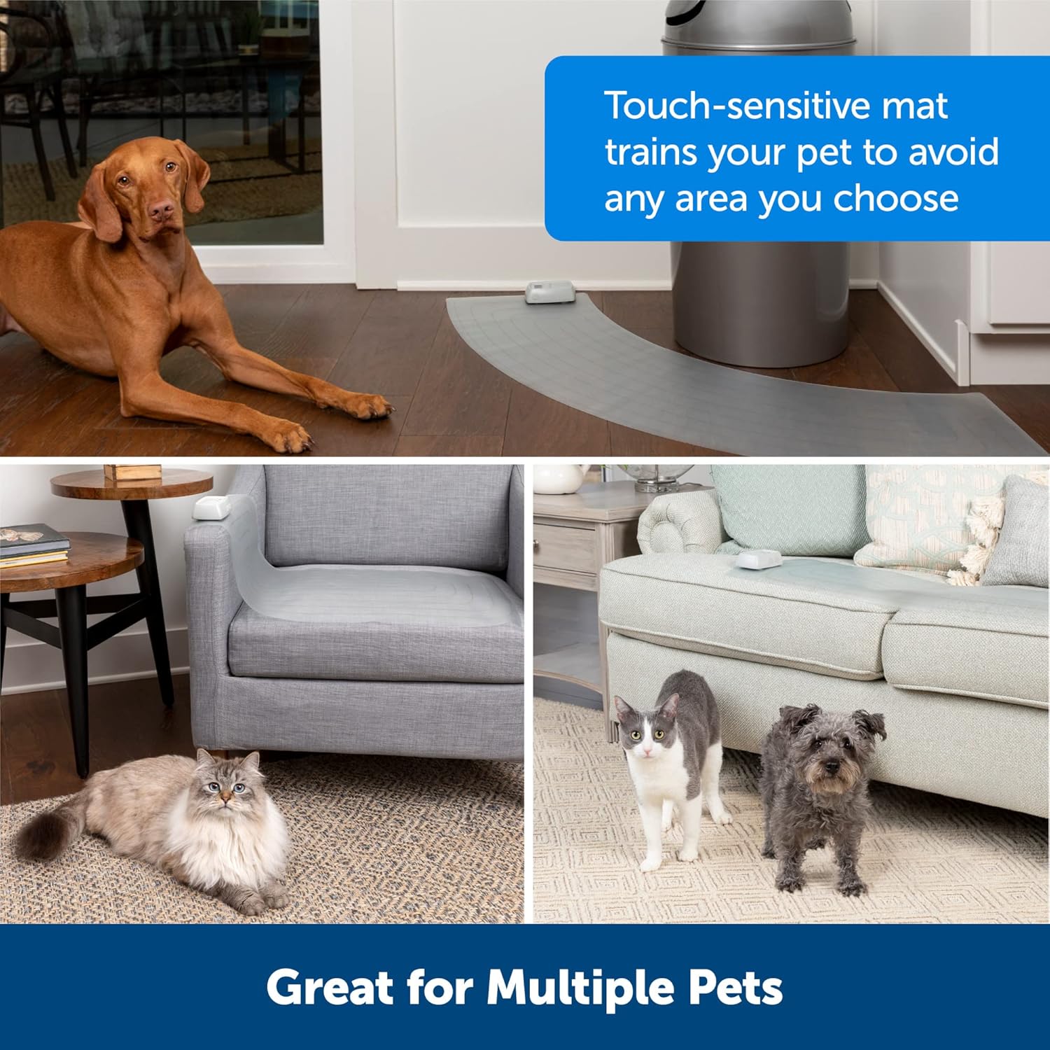 PetSafe ScatMat Indoor Training Mat, 7 Correction Modes, Protect Your Furniture, Training Tool for Dogs and Cats, Curved Size Mat (50 in X 12 in) - Pet Proof Around Areas - Battery-Operated Mat : Pet Supplies