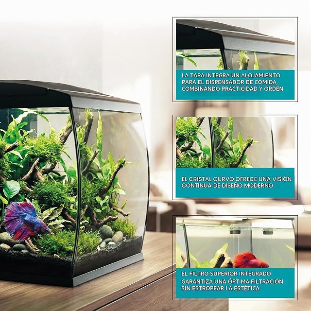 Foto 4 de 6 de AQPET Acuario Curvo de Cristal Curvado 35 l con Filtro Superior Integrado y LED 6 W