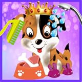 Welpenprinz Liebe - Tierpflege