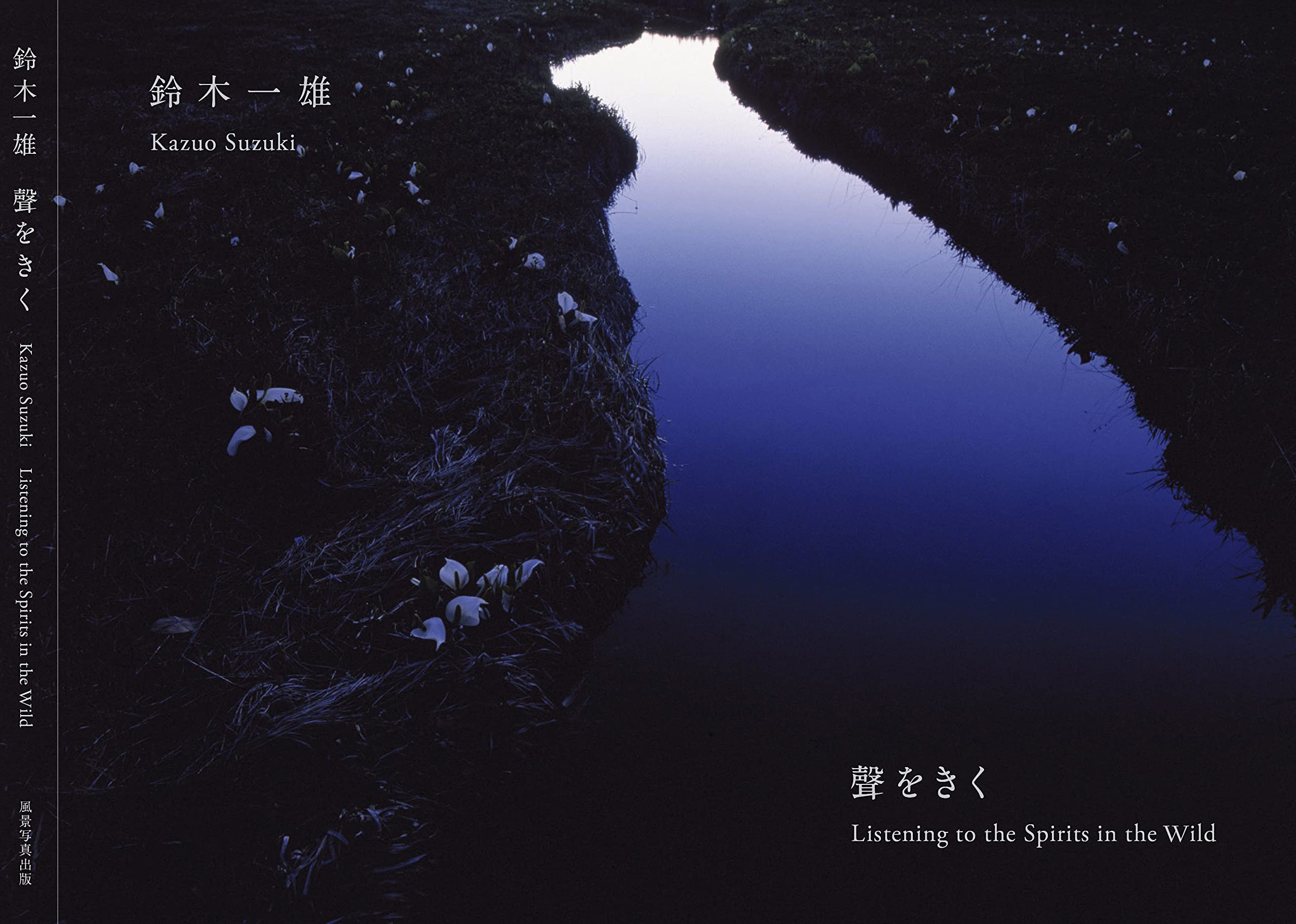 Amazon.co.jp: 聲をきく : 鈴木一雄: 本