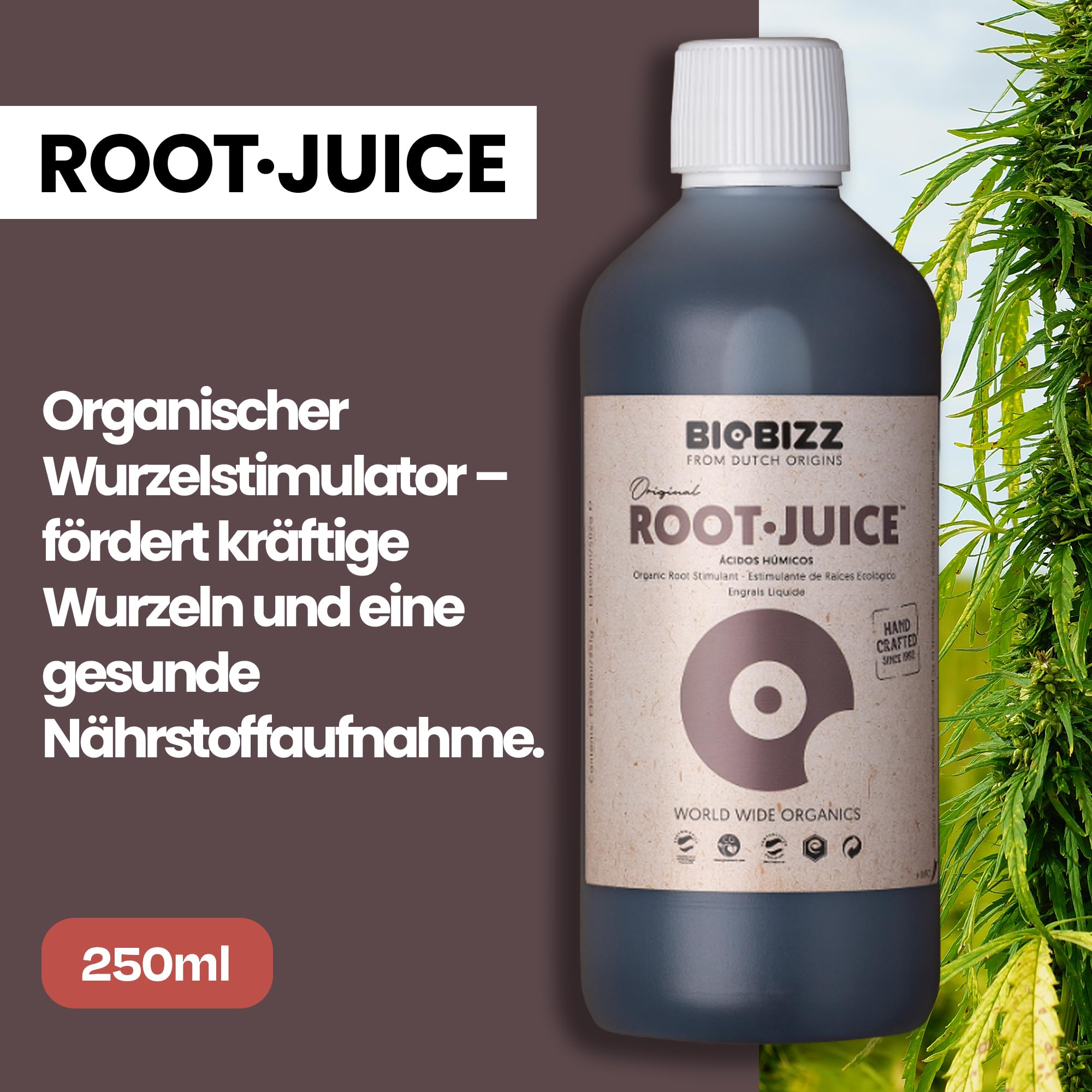Biobizz Starter Pack – Komplettset Bio-Bloom, Bio Grow und Top Max Dünger mit Bio Up und Bio Down 250 ml
