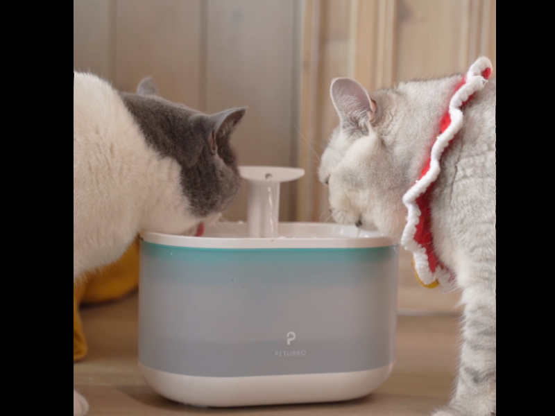 Amazon | PETLIBRO 猫 水飲み器 フィルター4枚付き 2.1L大容量 4重濾過