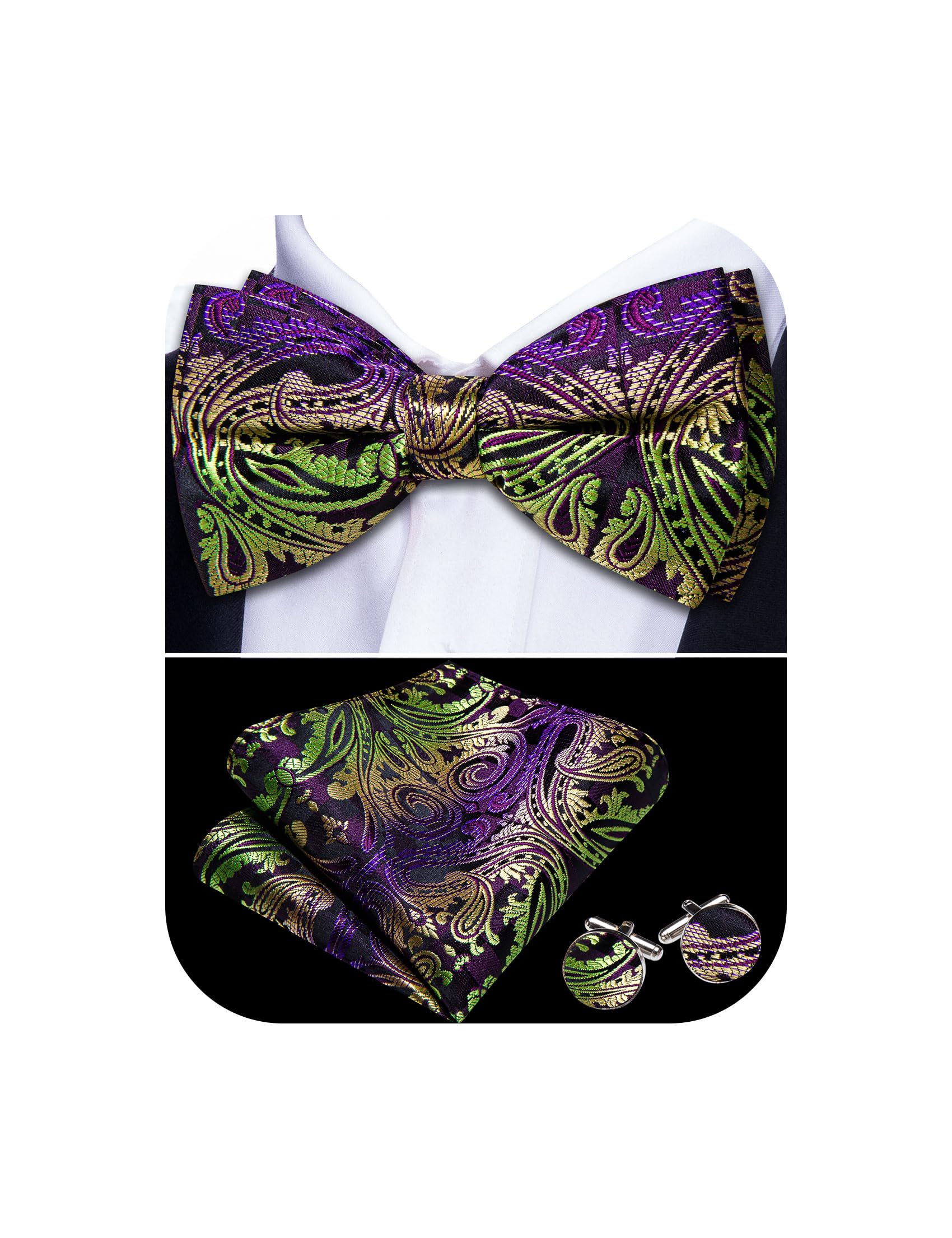 Barry.Wang Paisley Striped Bow Tie for Men Silk Pre-Tied Bowtie Set