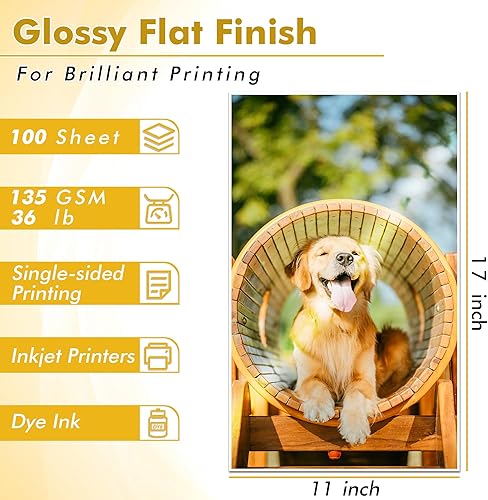 Miniatura 2 de Papel brillante fino para impresora de inyección de tinta KOALA PAPER 11x17 pulgadas para imprimir folletos y volantes, 100 hojas, 36 lb para