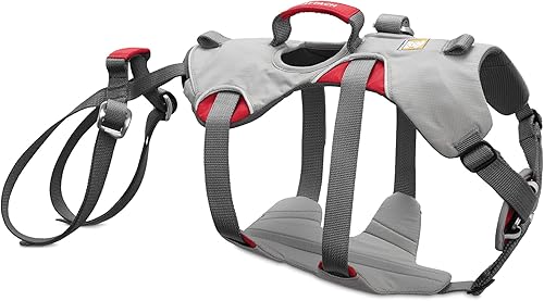 Ruffwear. Arnés de seguridad para perro doble espalda reforzada Cloudburst Gray, XS