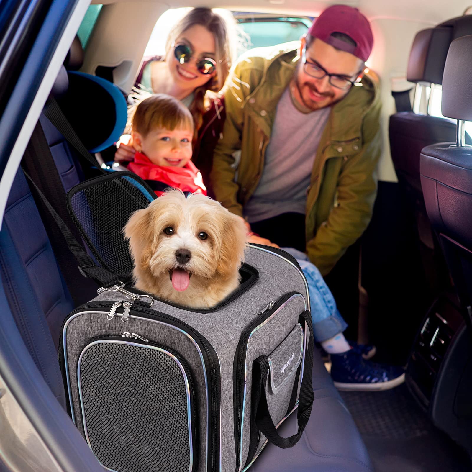 Borsa da Trasporto per Gatti - Trasportino Rigido Omologato IATA per Gatti a 4 Lati - Borsa da Viaggio per Gatti Espandibile per Viaggi in Aereo