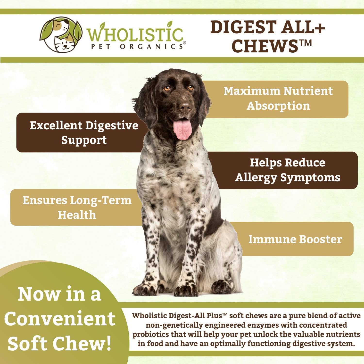 Wholistic Pet Organics Digest-All Plus: Probiotic Enzyme Dog Supplement Soft Chews - Dog Probiotic + Prebiotic for Digestive Support, Diarrhea, Gas Relief, Constipation, Gut Health - 2 Gram, 120 Count : Pet Supplies