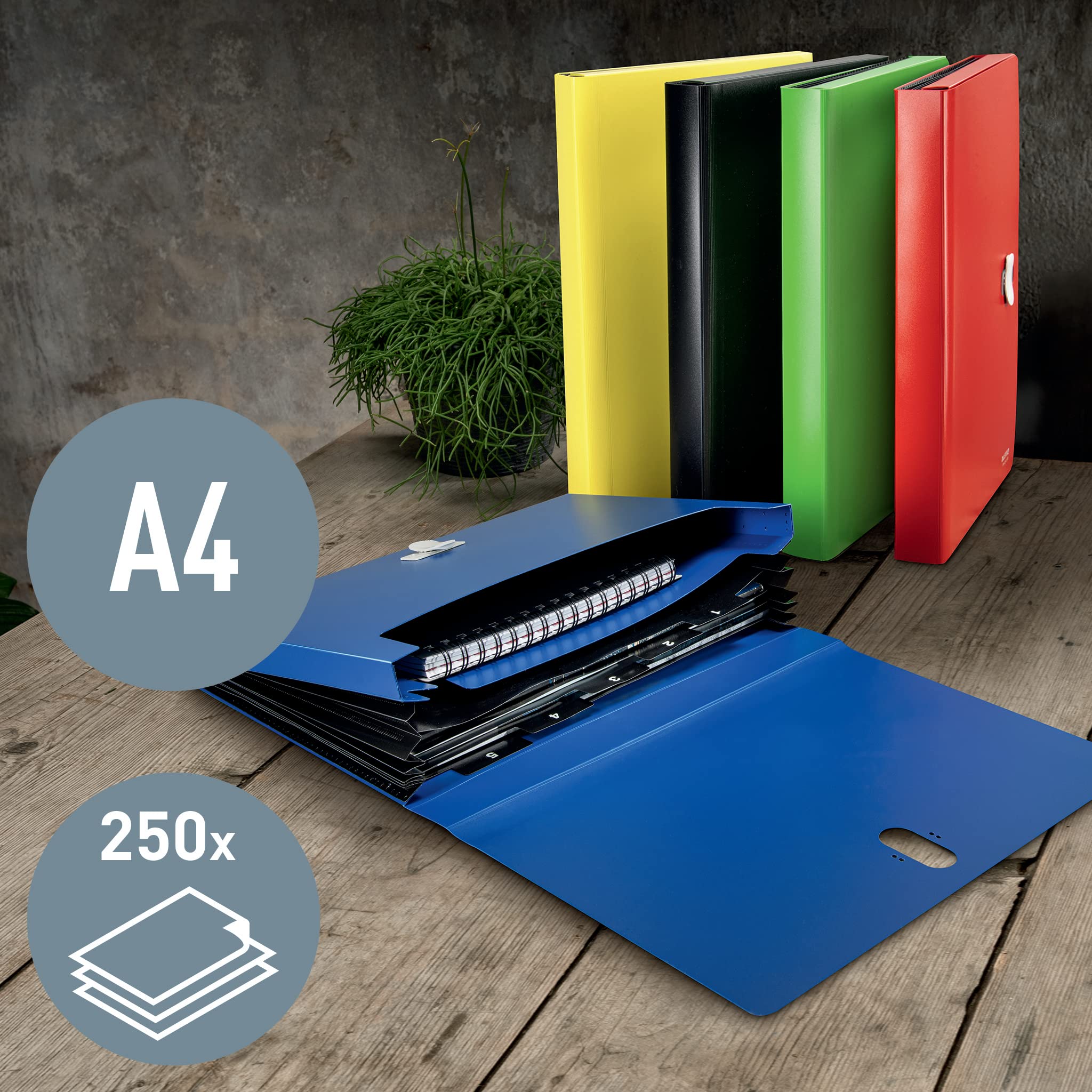 Leitz Cartella Espandibile in PP Riciclato all'80% e Riciclabile al 100% con Capacità 250 Fogli A4, Permette una Suddivisione dalla A alla Z, Gamma Recycle, 240 mm x 41 mm x 330 mm - Blu