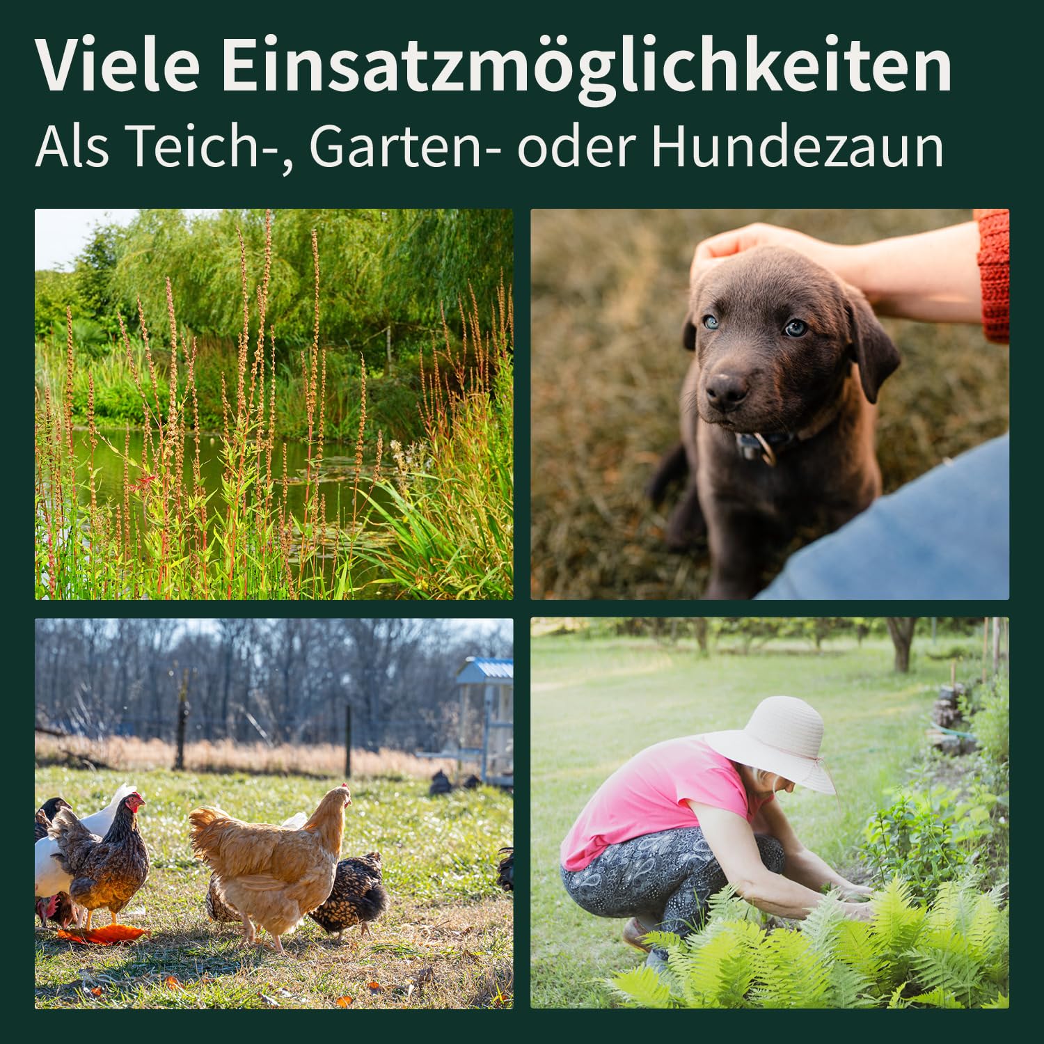 VERDOBA Teichzaun Gartenzaun Komplettset - Metall 10 Zaunelemente - Zaun für den Garten, Gitterzaun Set Oberbogen - für Hunde (10x Oberbogen, Anthrazit - RAL 7016)