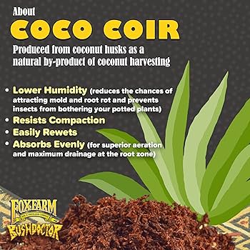 coco✴︎ Merola Tile Coco Glossy Blue Night 2 in. x 5-7/8 in. Porcelain