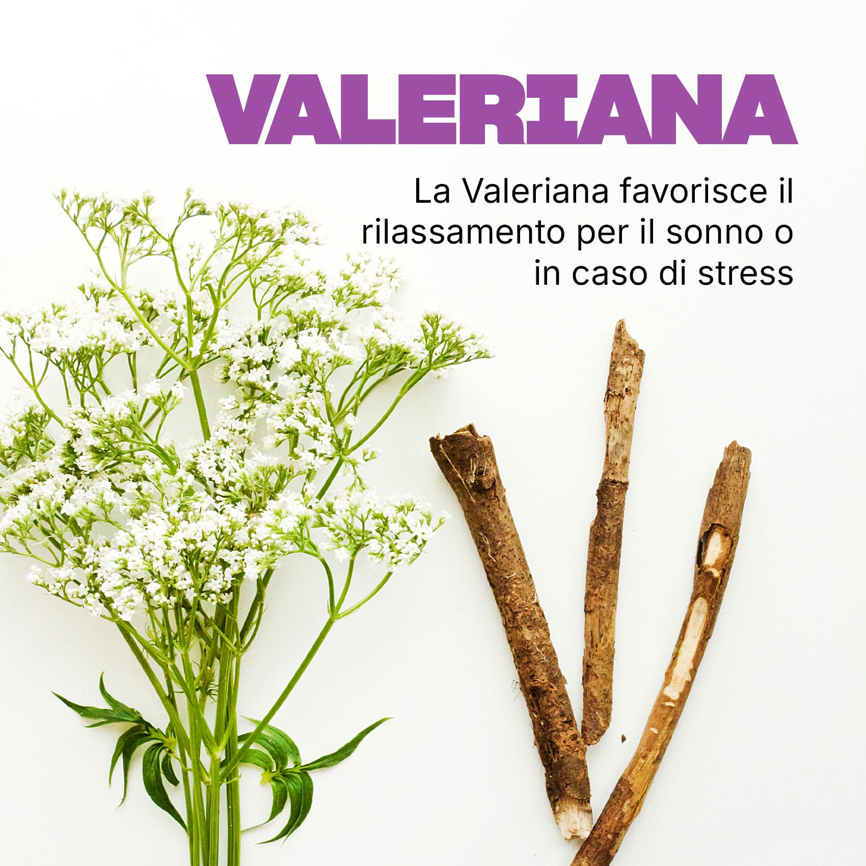 SWISSE Ultiboost Sonno & Relax- Pastiglie per Dormire con Valeriana Liquirizia e Luppolo per Favorire Rilassamento, Integratori con Magnesio per Supporto a Sistema Nervoso, 50 Compresse, Made in Italy