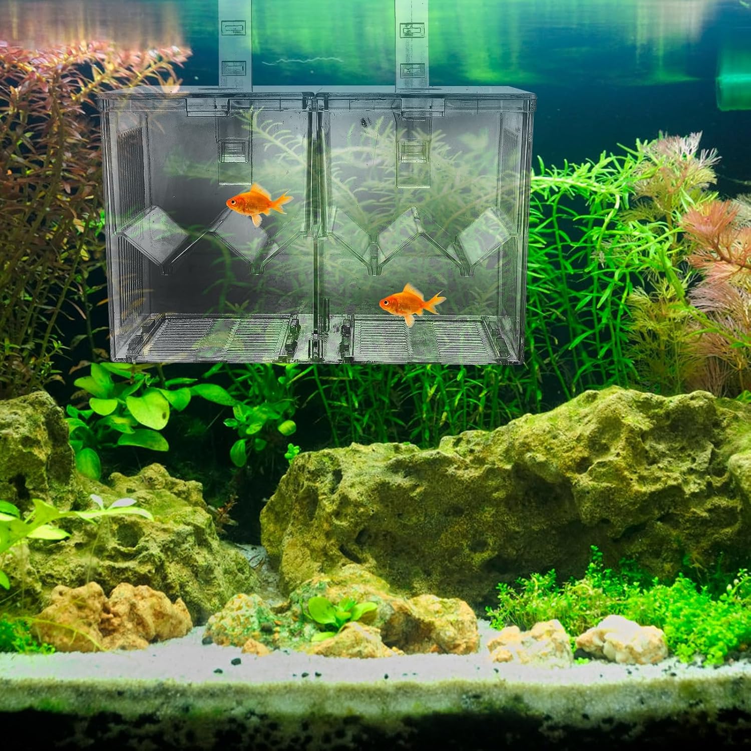 NUOBESTY Aquarium Breeding Isolation Box for Fry and Small Fish Acrylic Fish Tank Hatching Incubator with Isolation Feature and Easy to Store Design