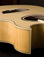 Vista 4 de Washburn Guitarra eléctrica acústica Festival EA20 (EA20-A)