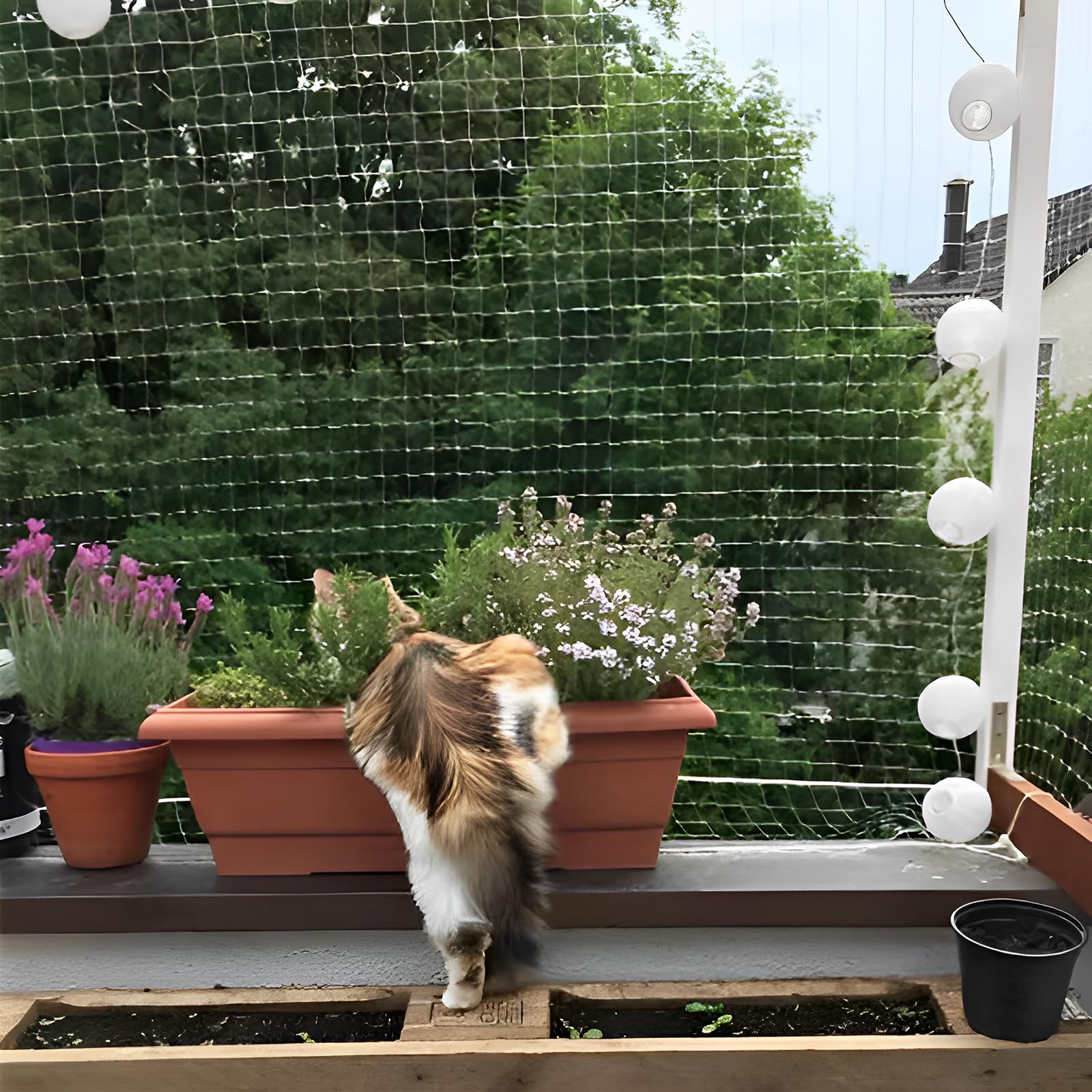 Rete per Gatti Balcone,3*10m Rete per Gatti,Rete Anti Uccelli, Anti piccioni,Rete da Giardino,Colore Trasparente,Leggero ma Resistente,può Essere riutilizzato per Proteggere Animali Domestici Piante