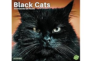 2024 Black Cats & Kittens - Deluxe Wall Calendar by Just Calendars
