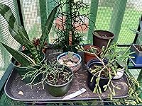 Review Image by Jane Barker-Hun Jane Barker-Hun