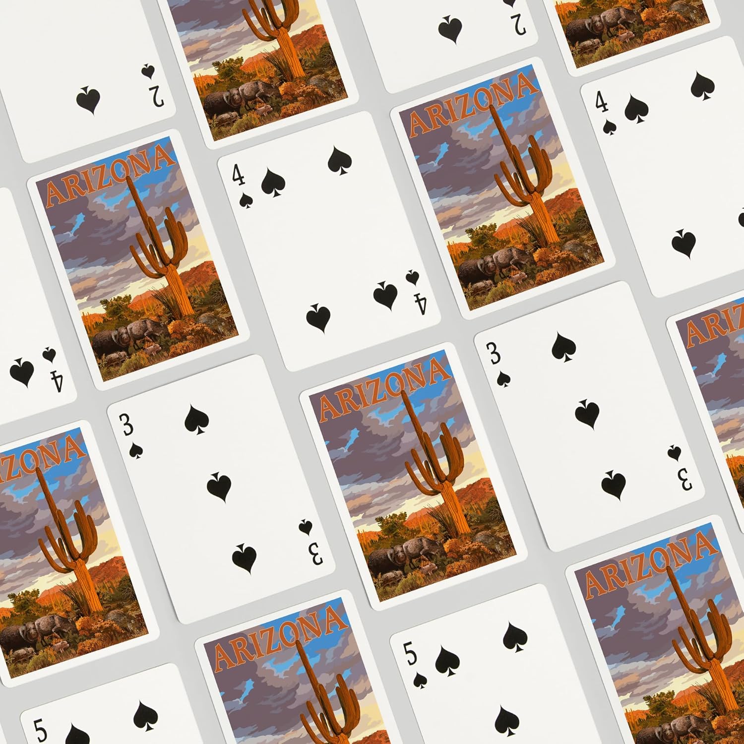 Lantern Press Arizona, Javelina and Cactus, 52 Playing Cards for Adults, Poker Size Card Deck