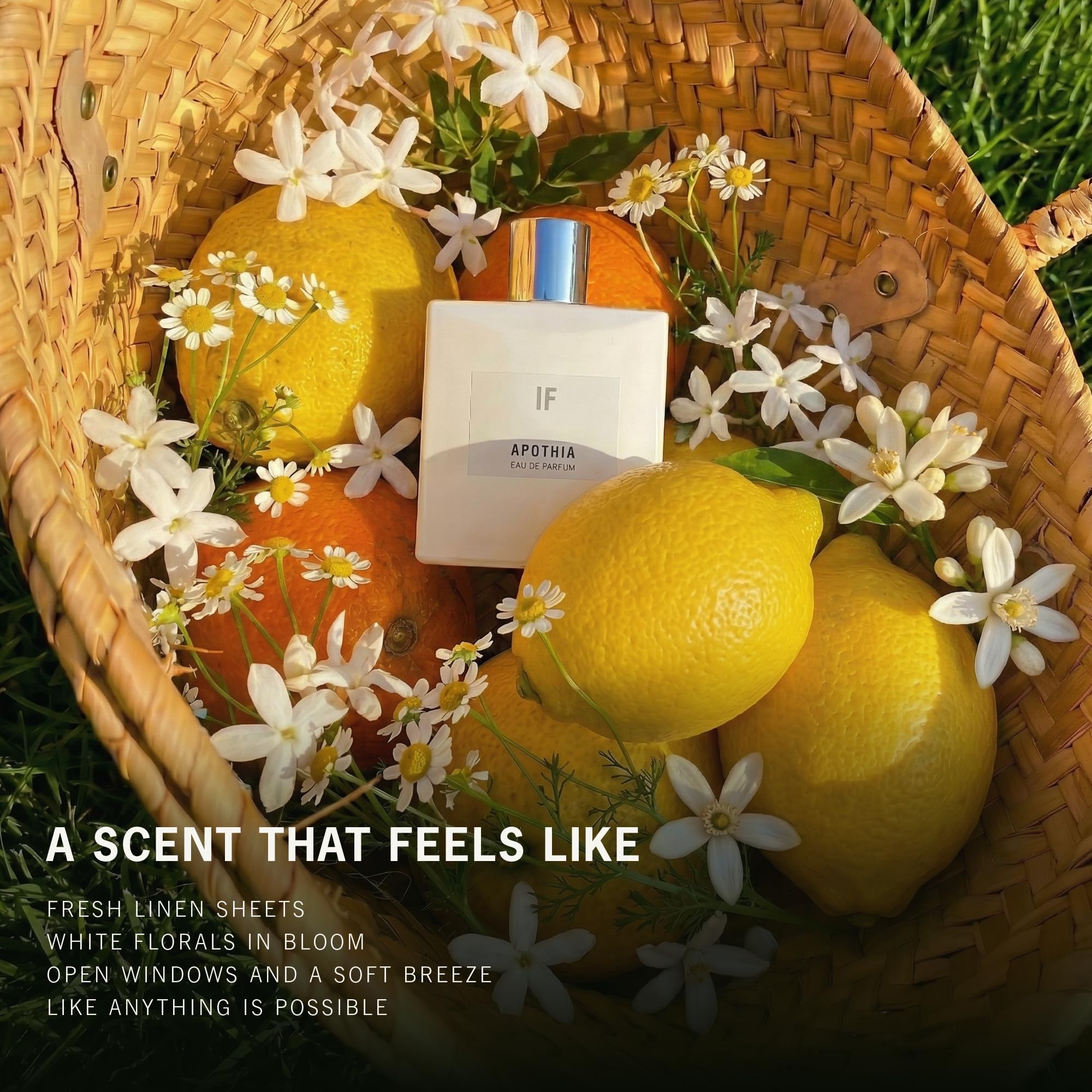 APOTHIA - IF Eau de Parfum | IF Perfume Modern White Floral