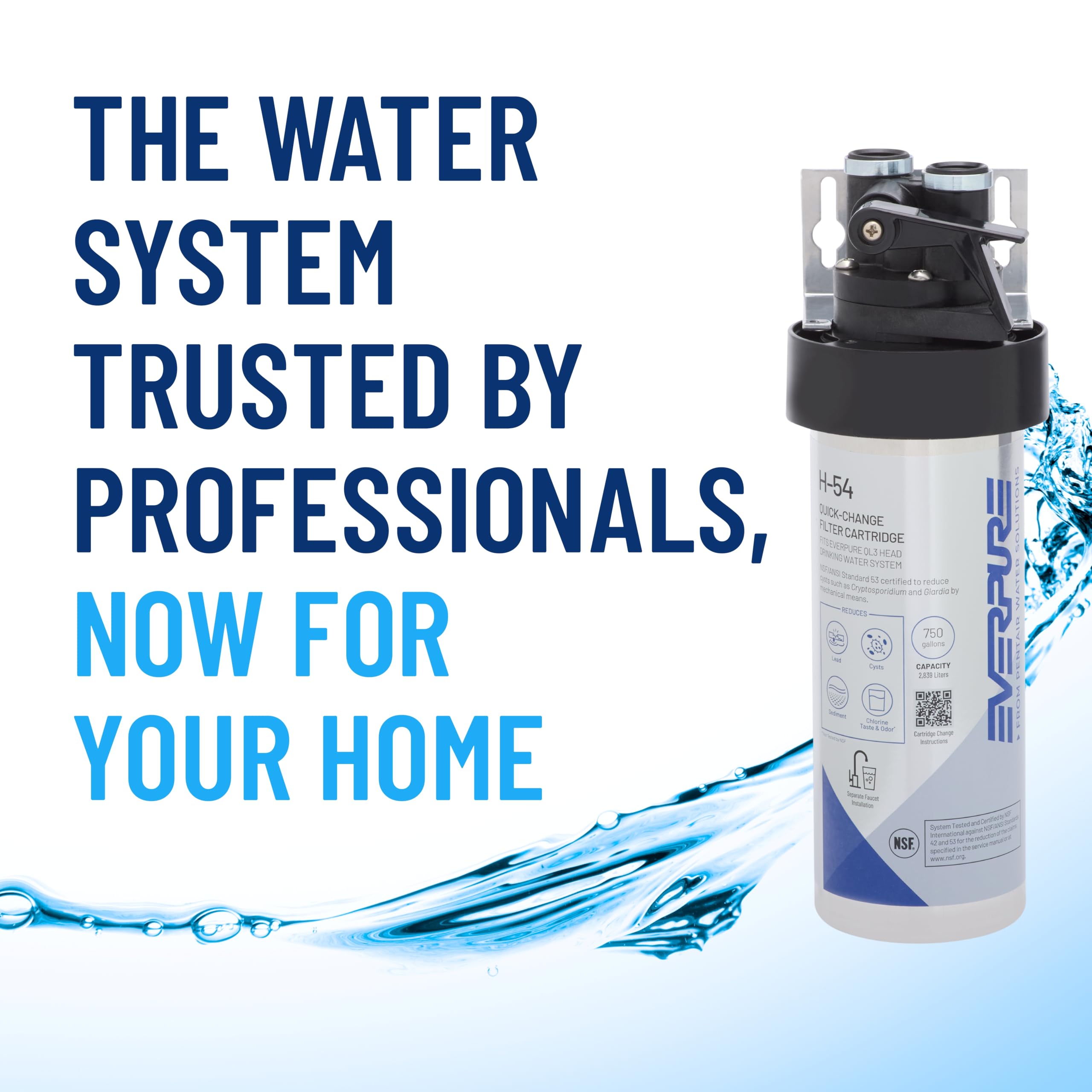 Everpure H-54 Replacement Filter - Clean Water! -4 Everpure H-54 Replacement Filter - Clean Water! -4